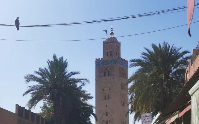 Visiter Marrakech en toute saison : Activités incontournables et conseils pratiques